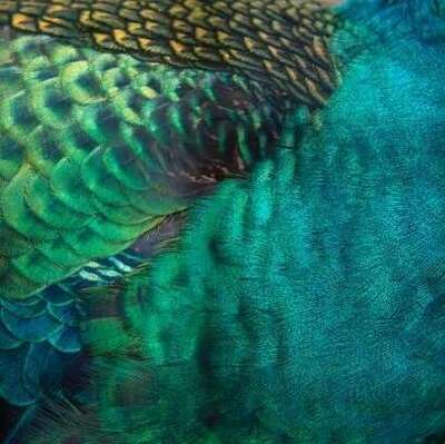 developpement-personnel